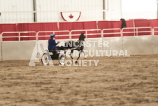 ete's Photography - Equine photography of various equine events at the Ancaster Fair including riding, driving, single carts and six draft horse hitches.