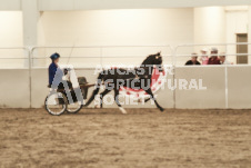 ete's Photography - Equine photography of various equine events at the Ancaster Fair including riding, driving, single carts and six draft horse hitches.