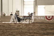 ete's Photography - Equine photography of various equine events at the Ancaster Fair including riding, driving, single carts and six draft horse hitches.