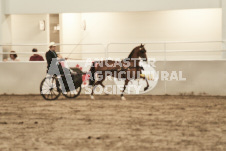 ete's Photography - Equine photography of various equine events at the Ancaster Fair including riding, driving, single carts and six draft horse hitches.