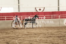 ete's Photography - Equine photography of various equine events at the Ancaster Fair including riding, driving, single carts and six draft horse hitches.