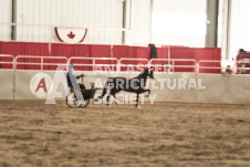 ete's Photography - Equine photography of various equine events at the Ancaster Fair including riding, driving, single carts and six draft horse hitches.