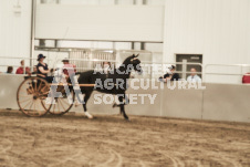 ete's Photography - Equine photography of various equine events at the Ancaster Fair including riding, driving, single carts and six draft horse hitches.