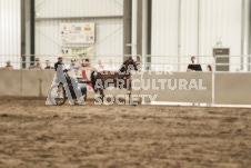 ete's Photography - Equine photography of various equine events at the Ancaster Fair including riding, driving, single carts and six draft horse hitches.