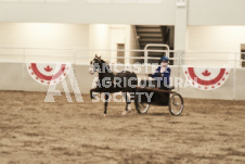 ete's Photography - Equine photography of various equine events at the Ancaster Fair including riding, driving, single carts and six draft horse hitches.