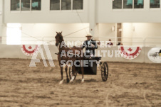 ete's Photography - Equine photography of various equine events at the Ancaster Fair including riding, driving, single carts and six draft horse hitches.