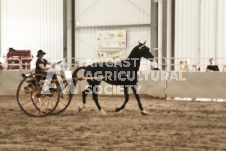 ete's Photography - Equine photography of various equine events at the Ancaster Fair including riding, driving, single carts and six draft horse hitches.