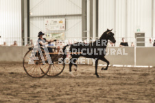 ete's Photography - Equine photography of various equine events at the Ancaster Fair including riding, driving, single carts and six draft horse hitches.