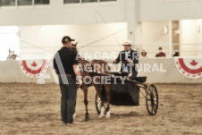 ete's Photography - Equine photography of various equine events at the Ancaster Fair including riding, driving, single carts and six draft horse hitches.