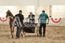 ete's Photography - Equine photography of various equine events at the Ancaster Fair including riding, driving, single carts and six draft horse hitches.