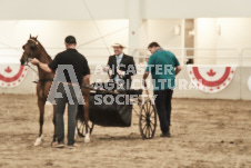 ete's Photography - Equine photography of various equine events at the Ancaster Fair including riding, driving, single carts and six draft horse hitches.