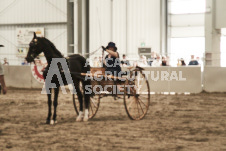 ete's Photography - Equine photography of various equine events at the Ancaster Fair including riding, driving, single carts and six draft horse hitches.