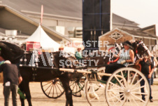 ete's Photography - Equine photography of various equine events at the Ancaster Fair including riding, driving, single carts and six draft horse hitches.