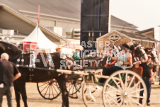 ete's Photography - Equine photography of various equine events at the Ancaster Fair including riding, driving, single carts and six draft horse hitches.