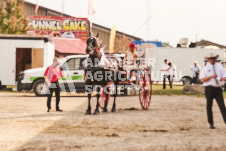 ete's Photography - Equine photography of various equine events at the Ancaster Fair including riding, driving, single carts and six draft horse hitches.