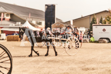 ete's Photography - Equine photography of various equine events at the Ancaster Fair including riding, driving, single carts and six draft horse hitches.