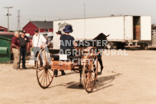 ete's Photography - Equine photography of various equine events at the Ancaster Fair including riding, driving, single carts and six draft horse hitches.