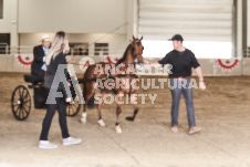 ete's Photography - Equine photography of various equine events at the Ancaster Fair including riding, driving, single carts and six draft horse hitches.