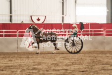 ete's Photography - Equine photography of various equine events at the Ancaster Fair including riding, driving, single carts and six draft horse hitches.