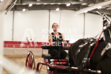 ete's Photography - Equine photography of various equine events at the Ancaster Fair including riding, driving, single carts and six draft horse hitches.