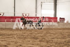 ete's Photography - Equine photography of various equine events at the Ancaster Fair including riding, driving, single carts and six draft horse hitches.