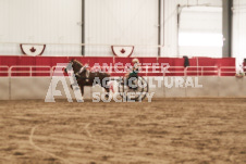 ete's Photography - Equine photography of various equine events at the Ancaster Fair including riding, driving, single carts and six draft horse hitches.