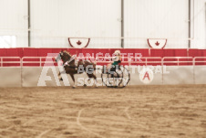 ete's Photography - Equine photography of various equine events at the Ancaster Fair including riding, driving, single carts and six draft horse hitches.