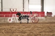 ete's Photography - Equine photography of various equine events at the Ancaster Fair including riding, driving, single carts and six draft horse hitches.