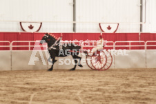 ete's Photography - Equine photography of various equine events at the Ancaster Fair including riding, driving, single carts and six draft horse hitches.