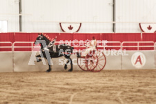 ete's Photography - Equine photography of various equine events at the Ancaster Fair including riding, driving, single carts and six draft horse hitches.