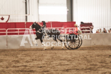 ete's Photography - Equine photography of various equine events at the Ancaster Fair including riding, driving, single carts and six draft horse hitches.