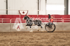 ete's Photography - Equine photography of various equine events at the Ancaster Fair including riding, driving, single carts and six draft horse hitches.