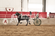 ete's Photography - Equine photography of various equine events at the Ancaster Fair including riding, driving, single carts and six draft horse hitches.