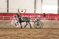 ete's Photography - Equine photography of various equine events at the Ancaster Fair including riding, driving, single carts and six draft horse hitches.