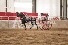 ete's Photography - Equine photography of various equine events at the Ancaster Fair including riding, driving, single carts and six draft horse hitches.