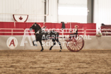 ete's Photography - Equine photography of various equine events at the Ancaster Fair including riding, driving, single carts and six draft horse hitches.