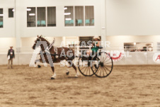 ete's Photography - Equine photography of various equine events at the Ancaster Fair including riding, driving, single carts and six draft horse hitches.