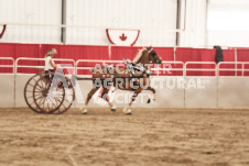 ete's Photography - Equine photography of various equine events at the Ancaster Fair including riding, driving, single carts and six draft horse hitches.