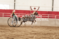 ete's Photography - Equine photography of various equine events at the Ancaster Fair including riding, driving, single carts and six draft horse hitches.