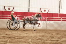 ete's Photography - Equine photography of various equine events at the Ancaster Fair including riding, driving, single carts and six draft horse hitches.