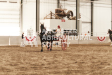 ete's Photography - Equine photography of various equine events at the Ancaster Fair including riding, driving, single carts and six draft horse hitches.