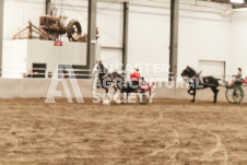 ete's Photography - Equine photography of various equine events at the Ancaster Fair including riding, driving, single carts and six draft horse hitches.