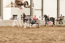 ete's Photography - Equine photography of various equine events at the Ancaster Fair including riding, driving, single carts and six draft horse hitches.