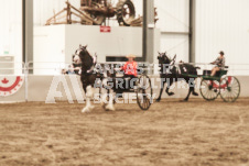 ete's Photography - Equine photography of various equine events at the Ancaster Fair including riding, driving, single carts and six draft horse hitches.