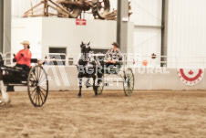 ete's Photography - Equine photography of various equine events at the Ancaster Fair including riding, driving, single carts and six draft horse hitches.