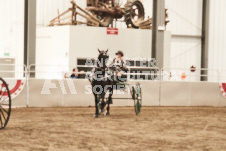 ete's Photography - Equine photography of various equine events at the Ancaster Fair including riding, driving, single carts and six draft horse hitches.