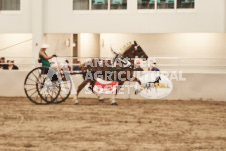 ete's Photography - Equine photography of various equine events at the Ancaster Fair including riding, driving, single carts and six draft horse hitches.