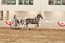 ete's Photography - Equine photography of various equine events at the Ancaster Fair including riding, driving, single carts and six draft horse hitches.