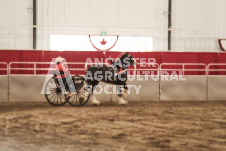 ete's Photography - Equine photography of various equine events at the Ancaster Fair including riding, driving, single carts and six draft horse hitches.