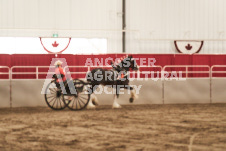 ete's Photography - Equine photography of various equine events at the Ancaster Fair including riding, driving, single carts and six draft horse hitches.